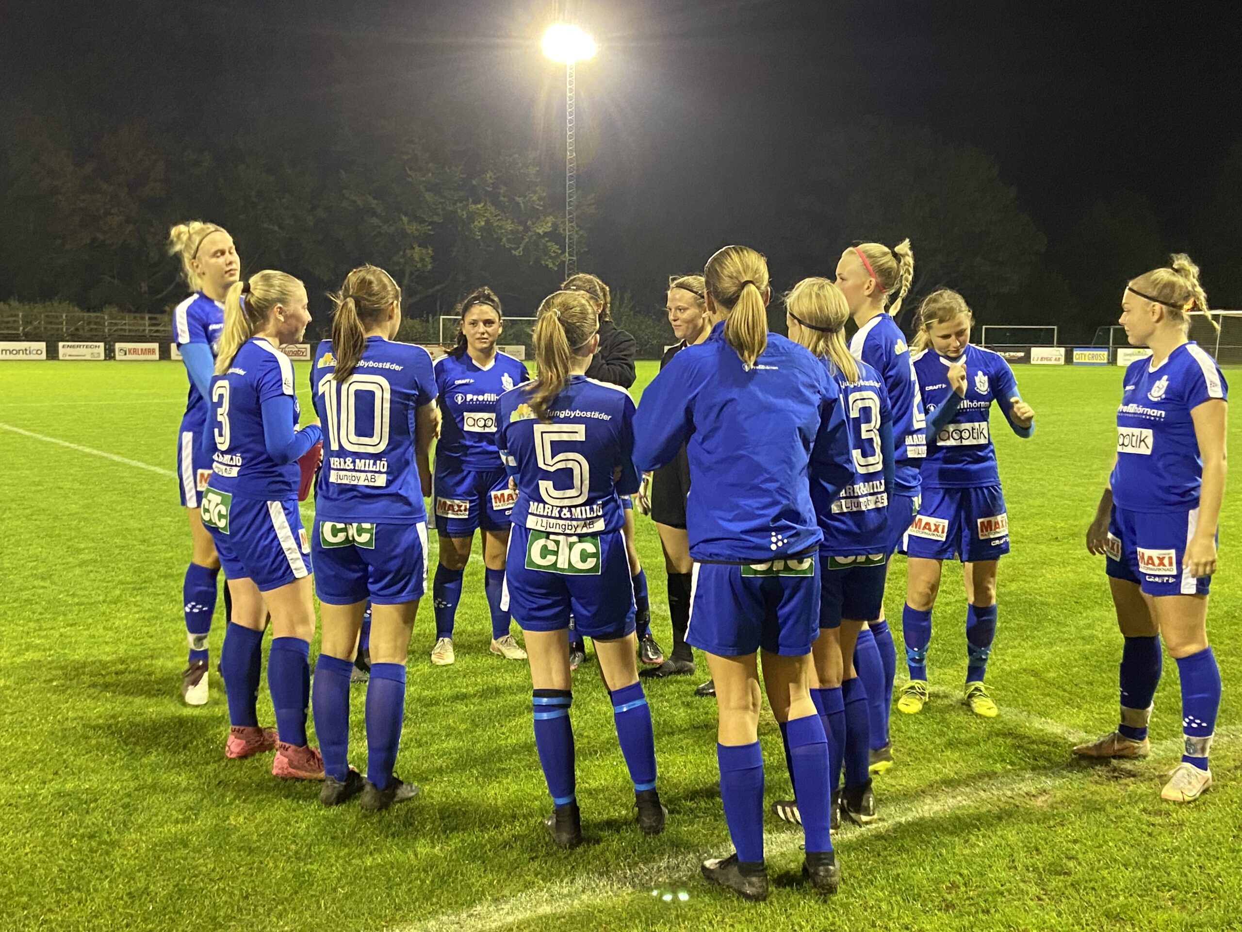 Utveckling-dam